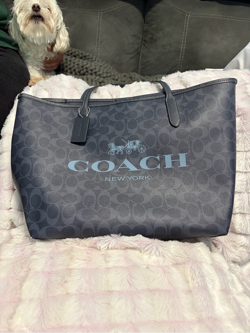 Coach Navy Logo Signature Tote with Light Blue Accents